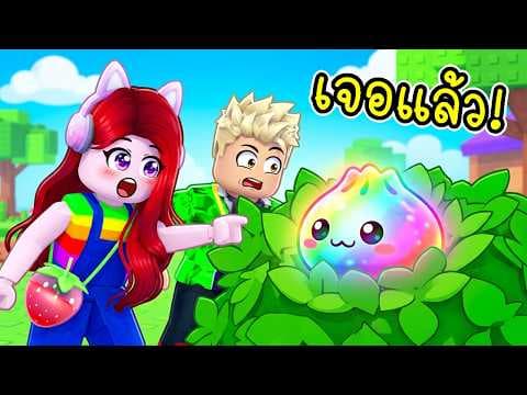 พี่ฝนพี่เอก ตามหาสกุชชี่ซาลาเปา ตัวซีเครทซ่อนอยู่ Roblox Find the Dumpling 🥟🌈