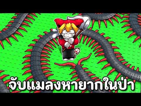 ชวนเพื่อนจับแมลงในป่าหน้าร้อน เจอแมลงหายาก!!