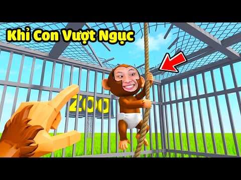 [ROBLOX] JayGray Là Khỉ Con Vượt Ngục Khỏi Sở Thú Ăn Thịt🥩🐒Thử Thách Đào Hầm Trốn Thoát Khỏi Nhà Tù