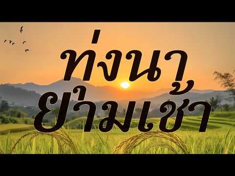รวมเพลงอมตะลูกทุ่ง ในความทรงจำ ฟังแล้วคิดถึงท้องทุ่งนายามเช้าๆ